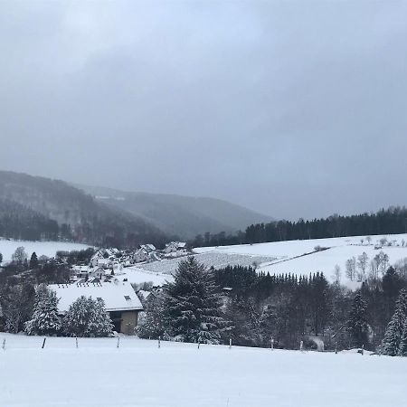 Appartement Familie Willems Winterberg 2 Ngoại thất bức ảnh
