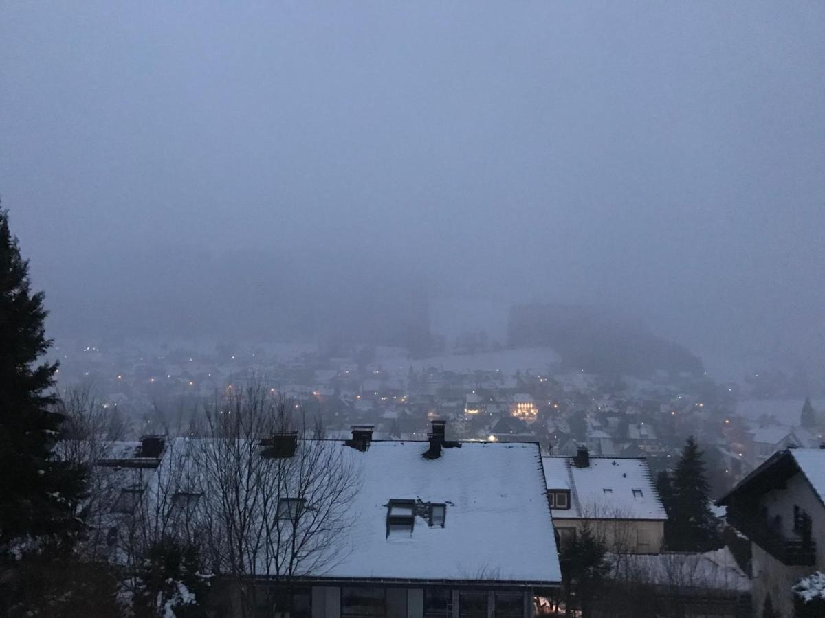 Appartement Familie Willems Winterberg 2 Ngoại thất bức ảnh