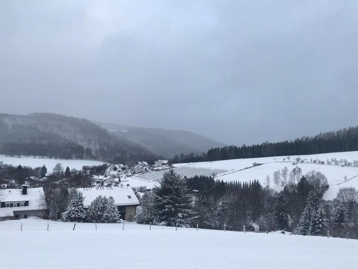 Appartement Familie Willems Winterberg 2 Ngoại thất bức ảnh