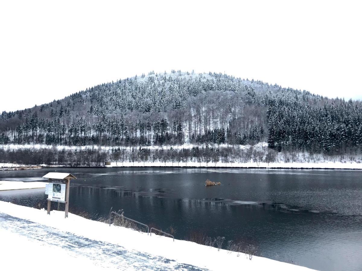 Appartement Familie Willems Winterberg 2 Ngoại thất bức ảnh